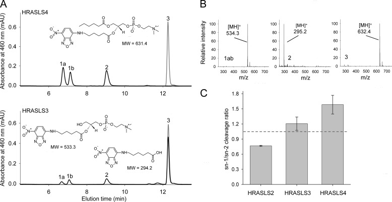 FIGURE 4.