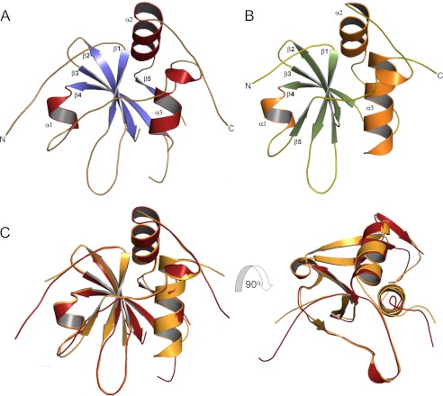 FIGURE 7.