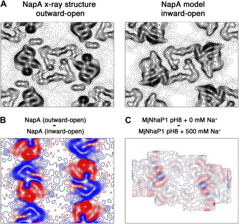 Figure 5—figure supplement 2.