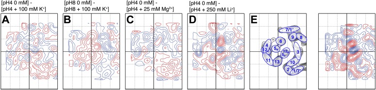 Figure 5—figure supplement 1.