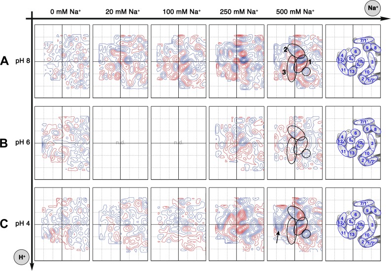 Figure 5.