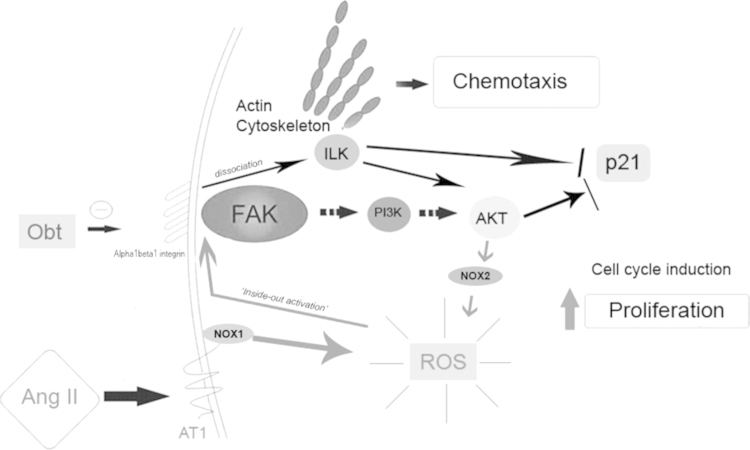 Fig. 10