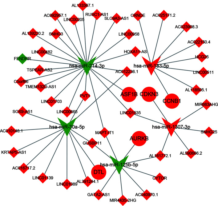 Figure 5