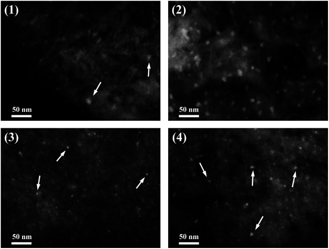 Fig. 9