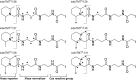 <b>FIG. 1.</b>