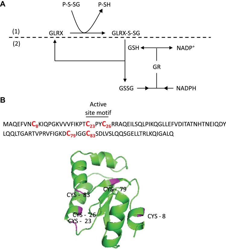 Fig. 3.