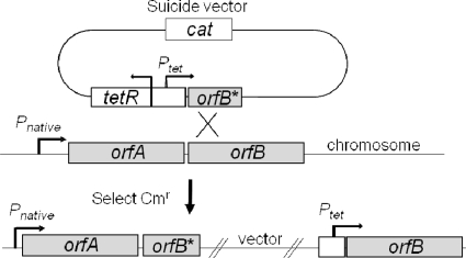 FIG. 2.