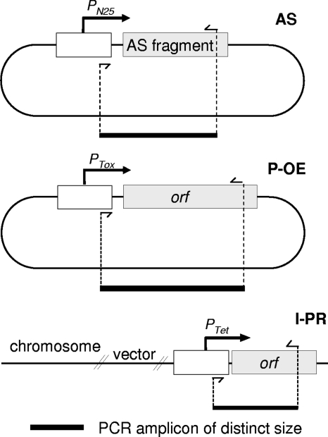 FIG. 6.