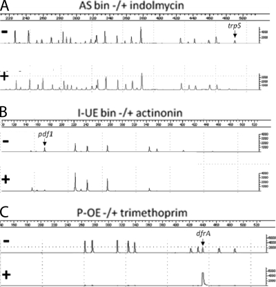 FIG. 7.