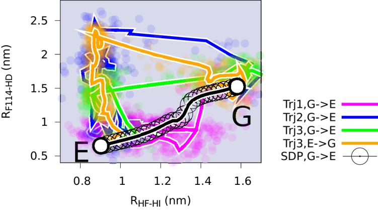 Figure 5—figure supplement 2.