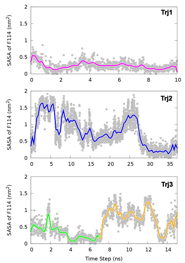 Figure 5—figure supplement 3.