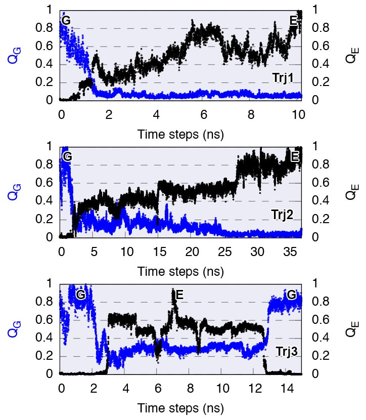 Figure 5—figure supplement 1.