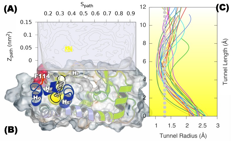 Figure 6—figure supplement 1.