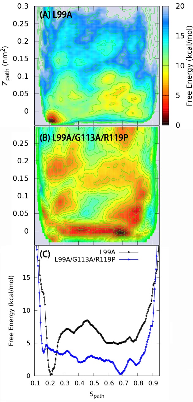 Figure 2—figure supplement 2.