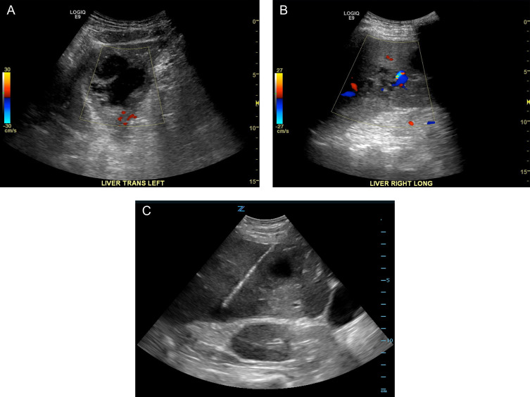 Fig. 2