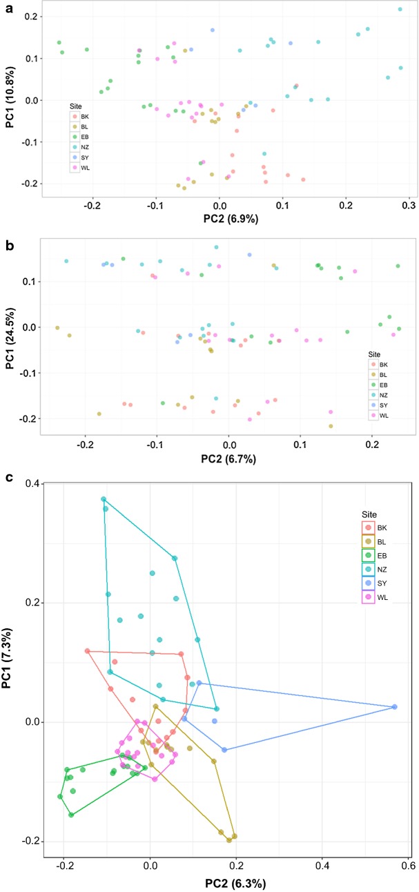 Fig. 2