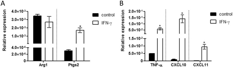 Fig 5