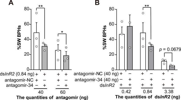 Fig 5