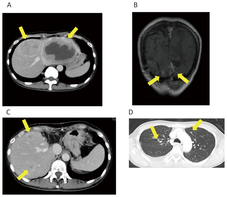 Fig. 5