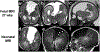 Fig 1.