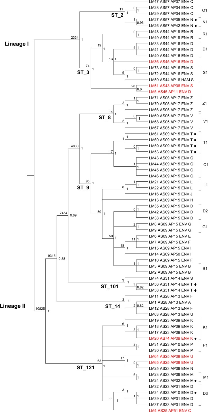 FIG 3