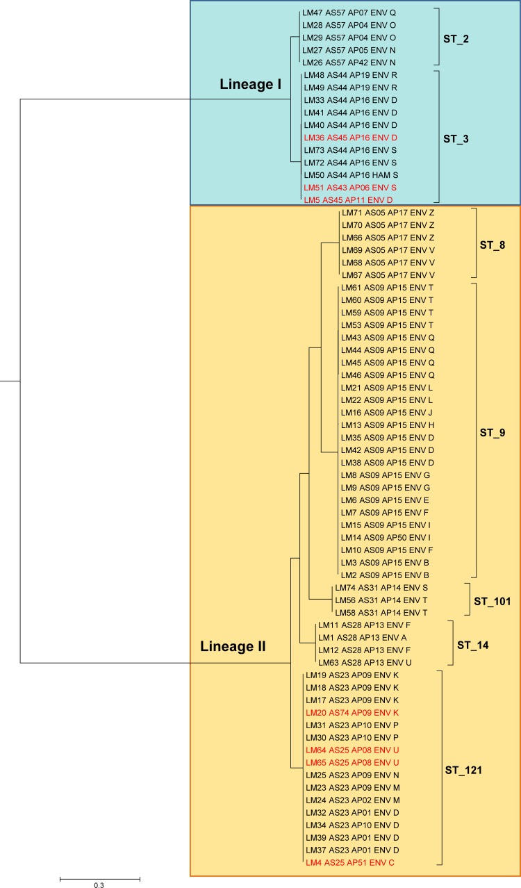 FIG 2