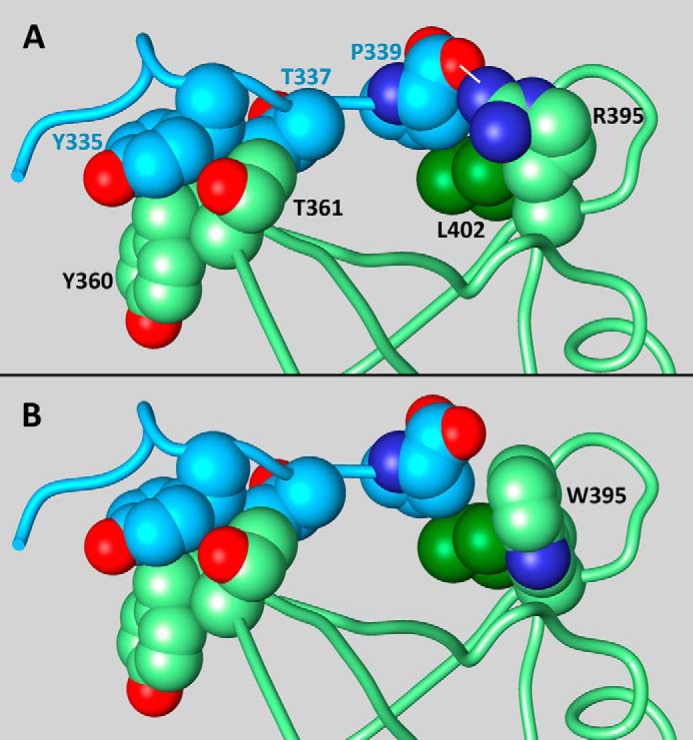 FIGURE 1.