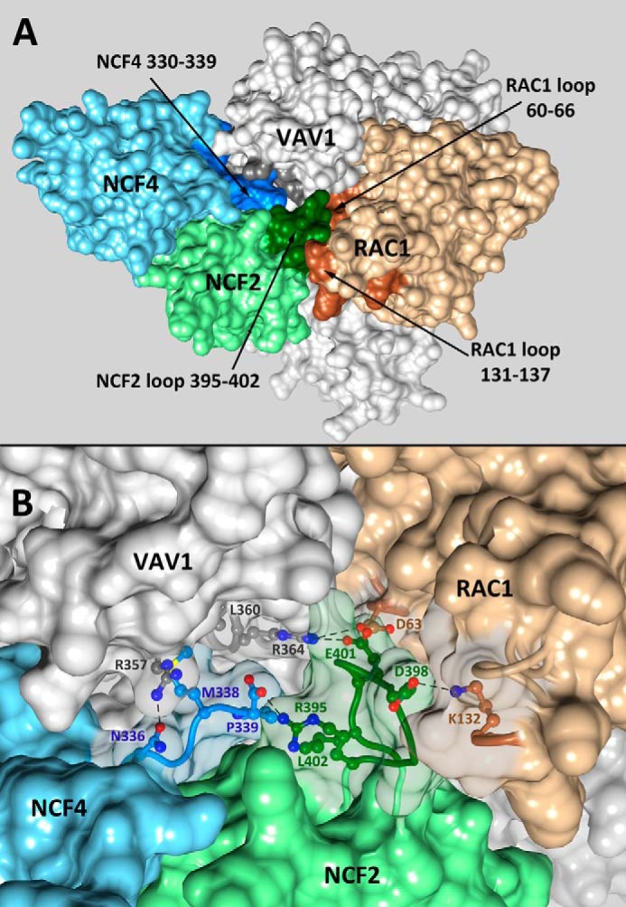 FIGURE 3.