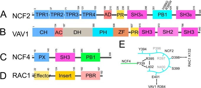 FIGURE 4.