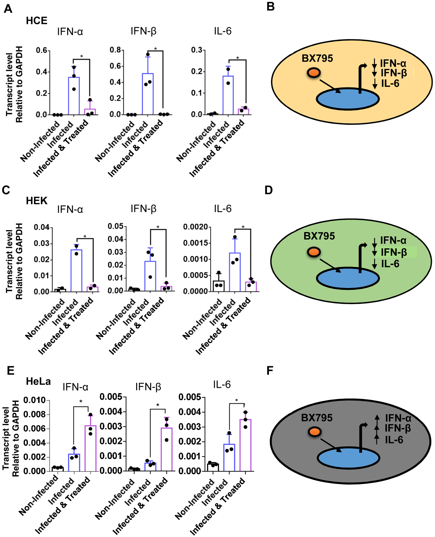 Figure 3: