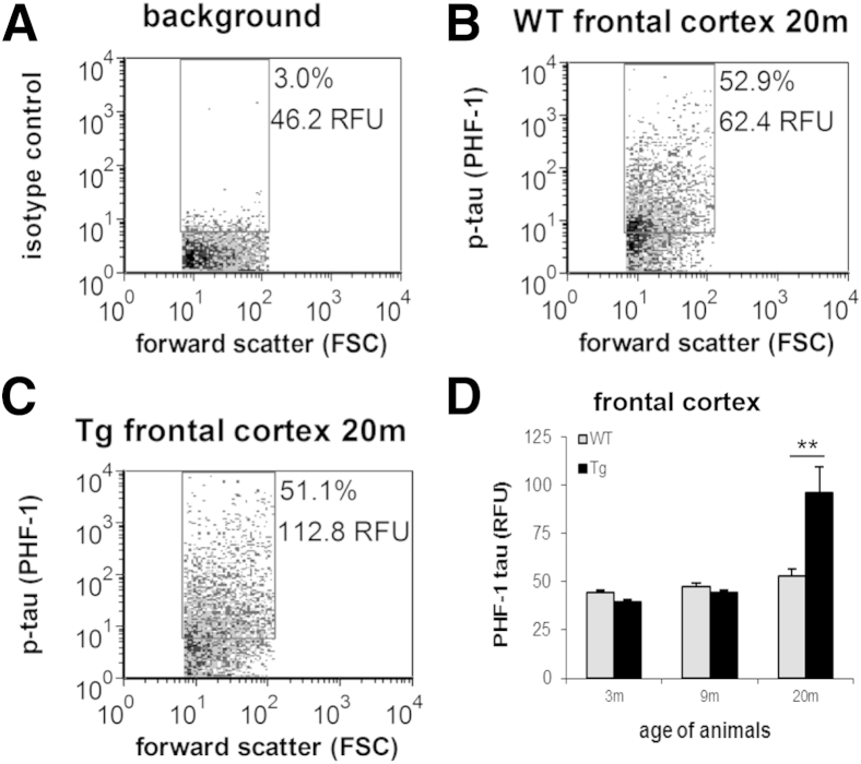 Figure 6