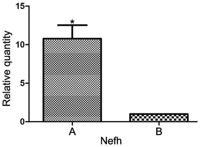 Figure 10.