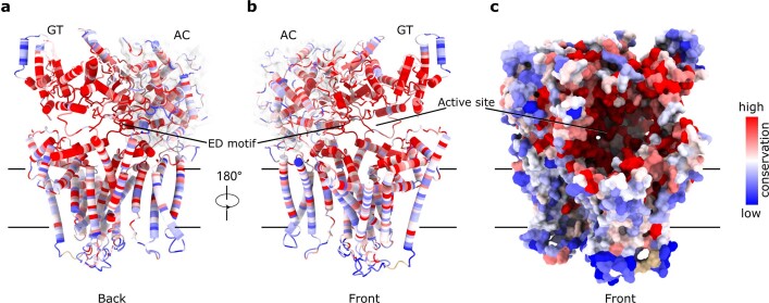 Extended Data Fig. 9