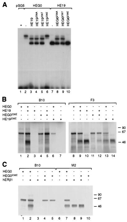 FIG. 5