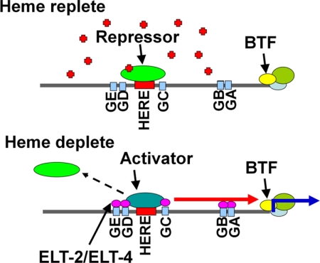 FIGURE 9.