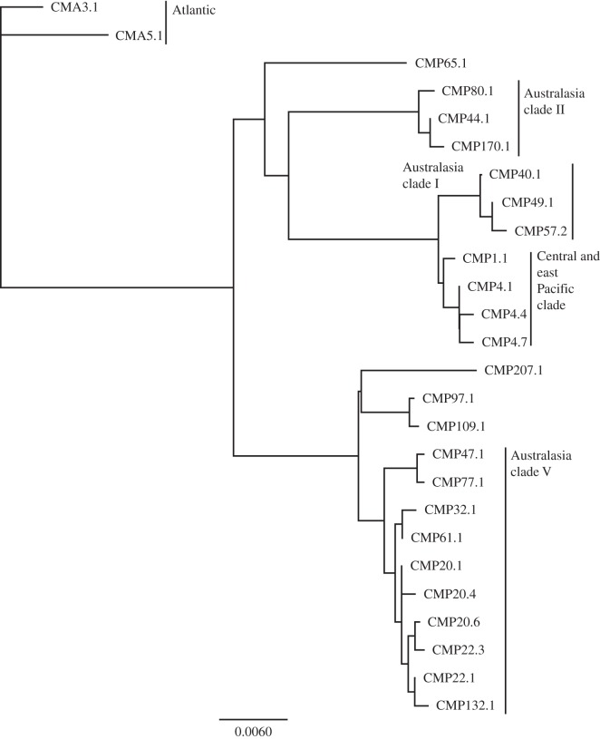 Figure 2.