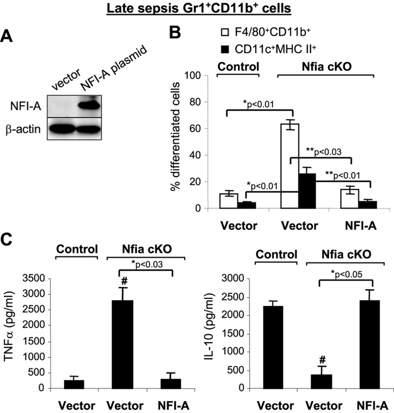 FIG 9