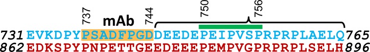 Figure 11.