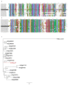 Extended Data Fig. 6