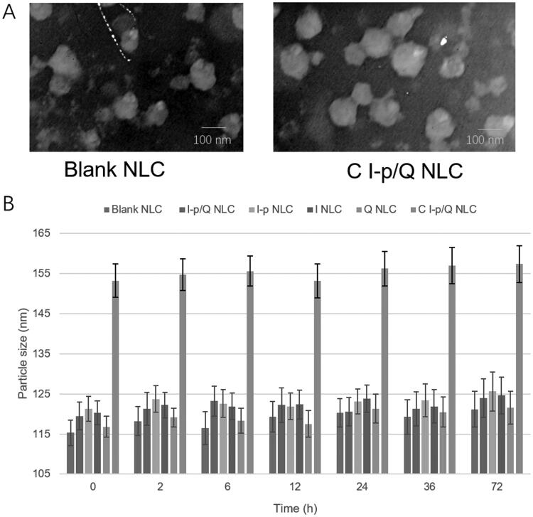 Figure 2.