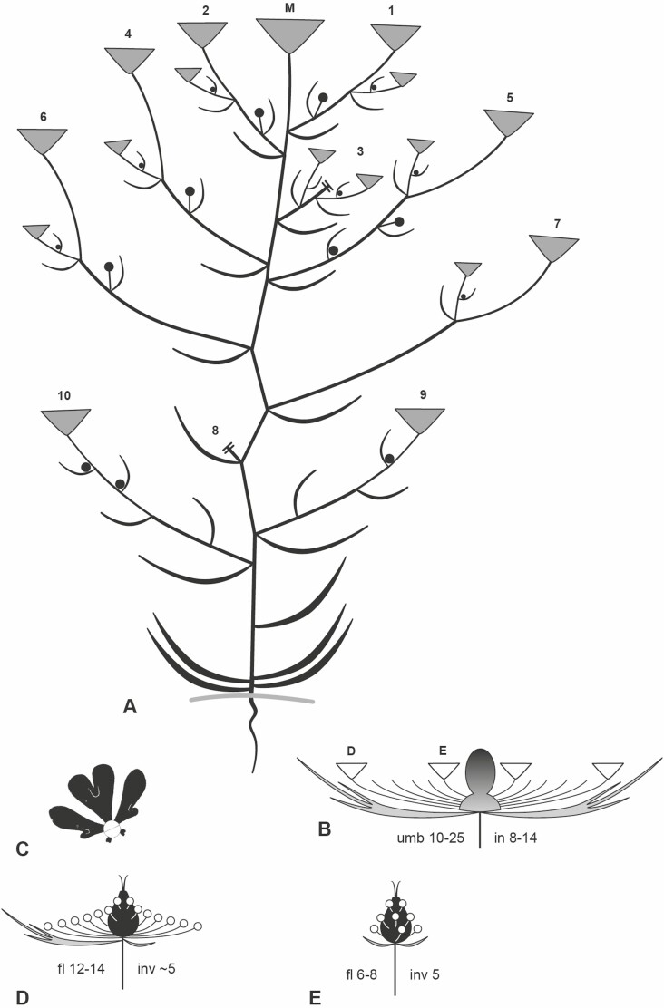 Figure 13.