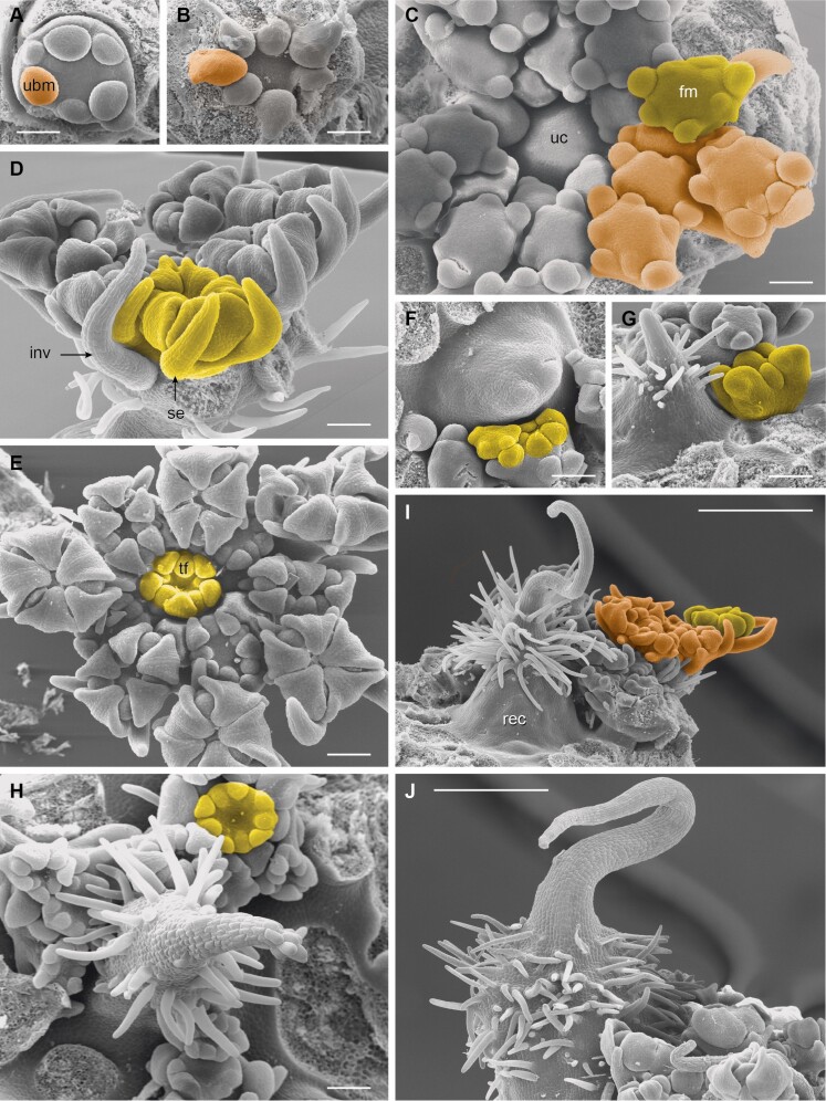 Figure 9.