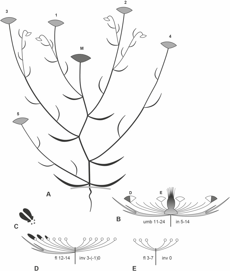 Figure 10.