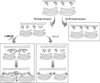 Figure 9.