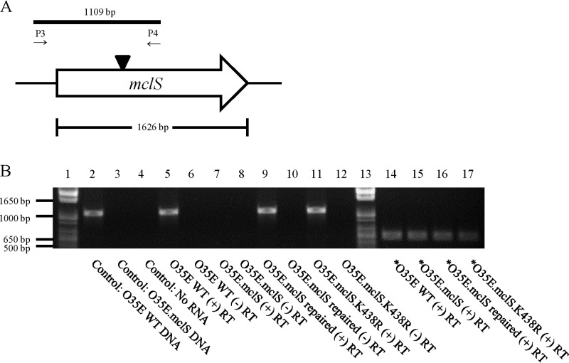 FIG 3