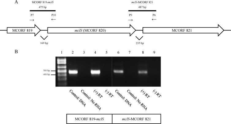 FIG 2