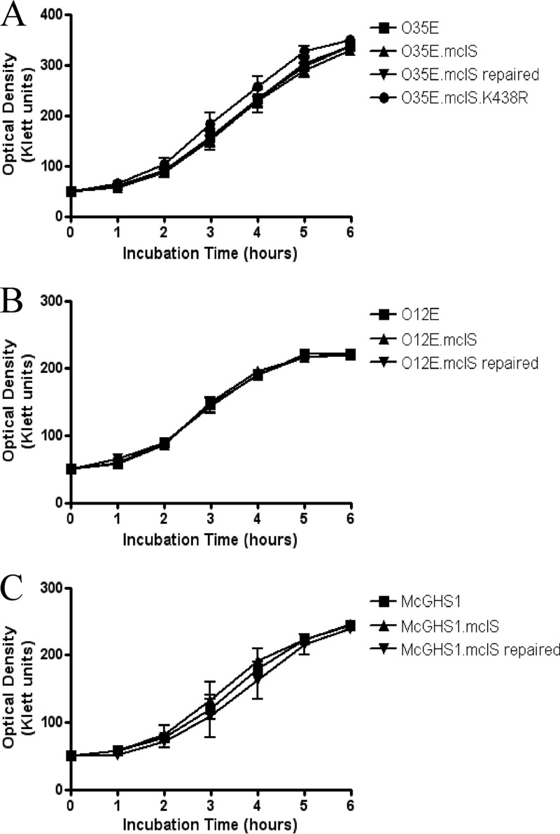 FIG 6