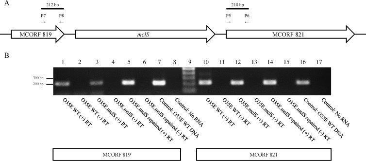 FIG 5