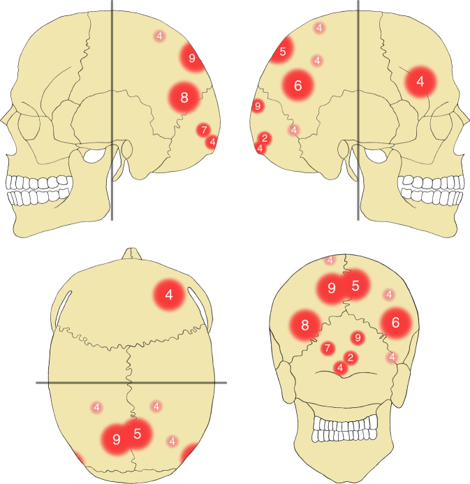 Fig. 3