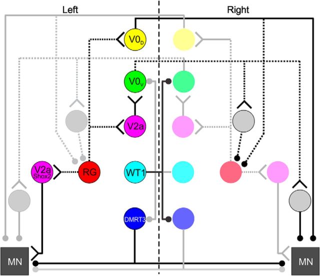 Figure 7.